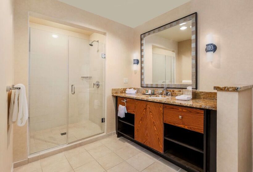 هتل Hilton Promenade At Branson Landing