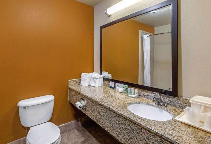 هتل Quality Suites Addisondallas