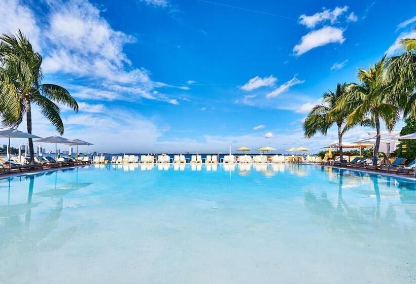 فندق The Standard Miami