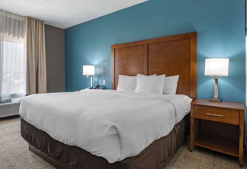 فندق Comfort Inn Airport