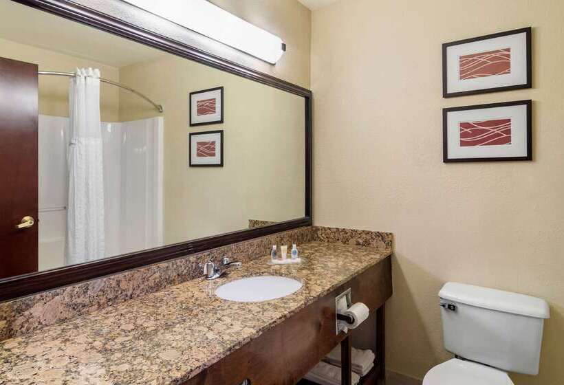 호텔 Comfort Inn & Suites Suwanee  Sugarloaf