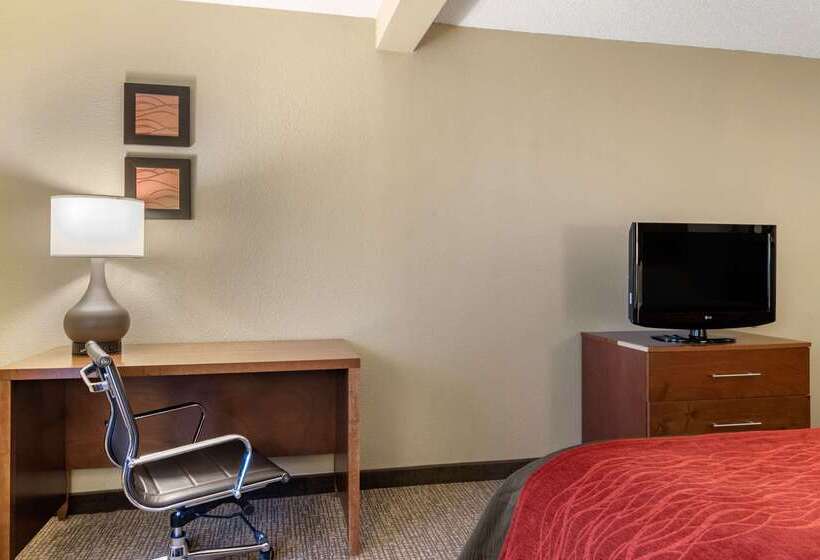 호텔 Comfort Inn & Suites Suwanee  Sugarloaf