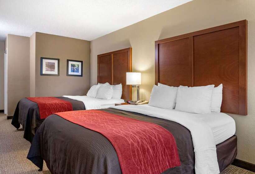 호텔 Comfort Inn & Suites Suwanee  Sugarloaf