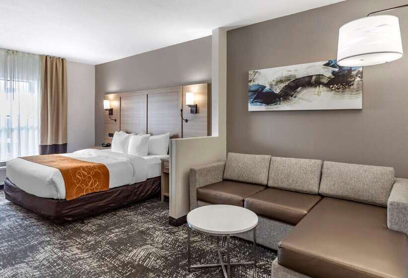 فندق Comfort Suites Anderson Clemson