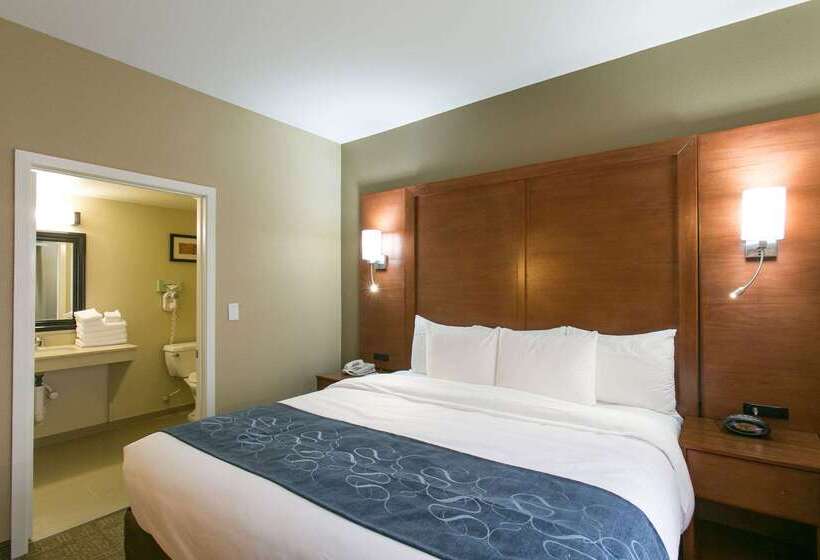 هتل Comfort Suites Austin Nw Lakeline