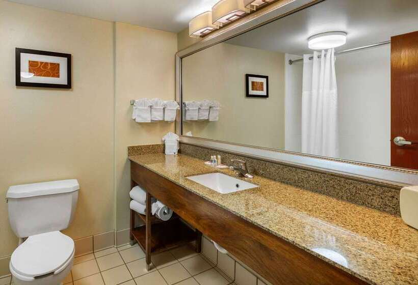 فندق Comfort Suites Manassas Battlefield Park
