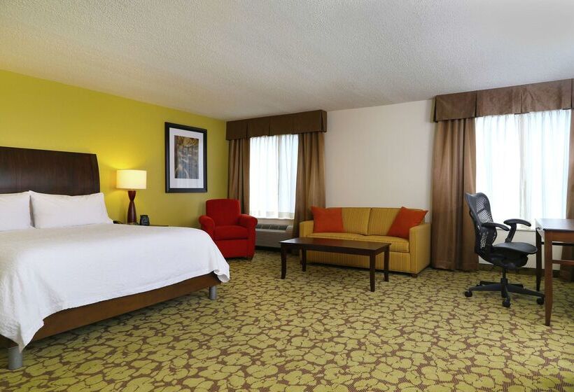 בית מלון כפרי Hilton Garden Inn Tampa East/brandon