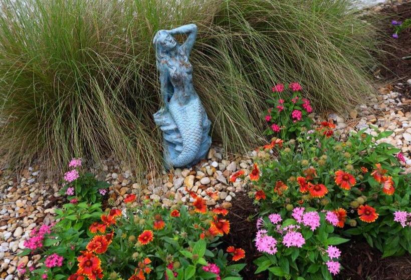 فندق Marco Island Lakeside Inn