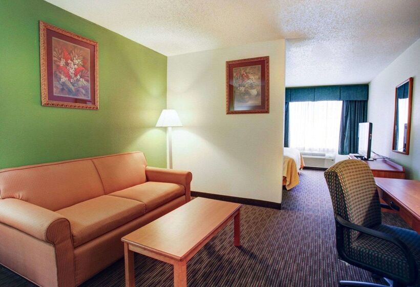 هتل Quality Inn & Suites Airport