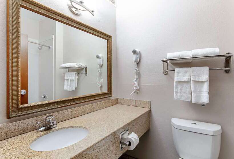 ホテル Quality Suites