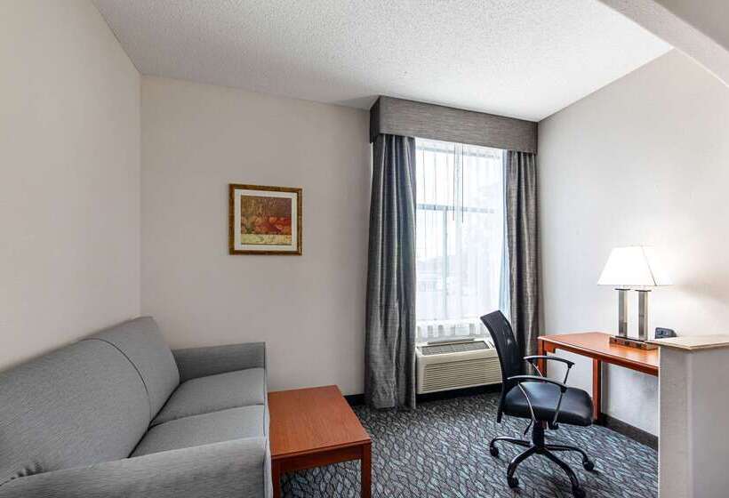 ホテル Quality Suites