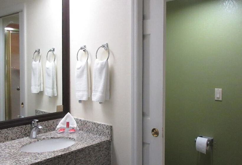 هتل Rodeway Inn