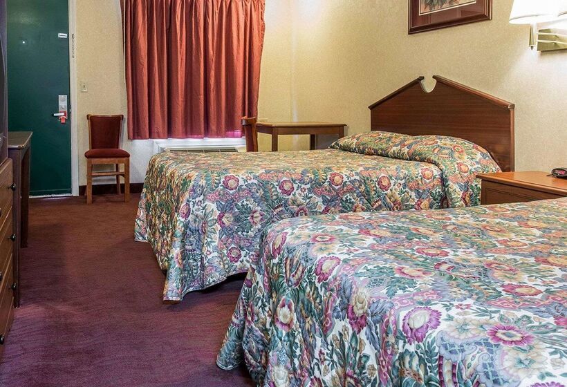 ホテル Rodeway Inn