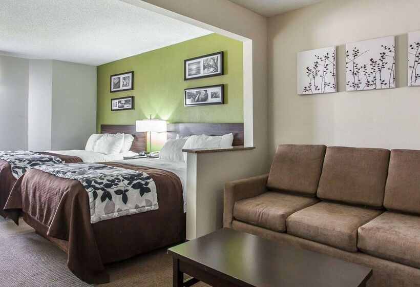 酒店 Sleep Inn & Suites Near I 90 And Ashtabula