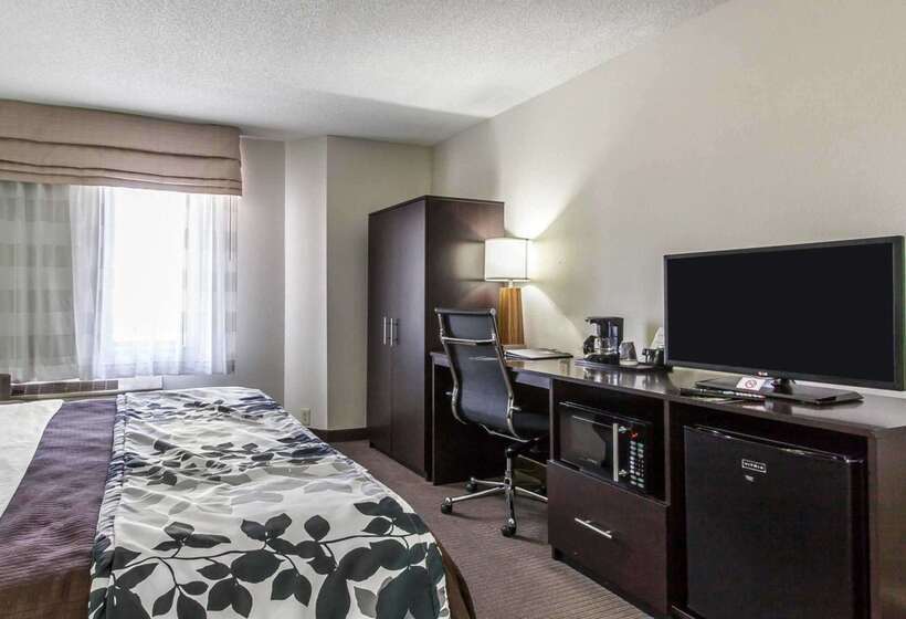 酒店 Sleep Inn & Suites Near I 90 And Ashtabula