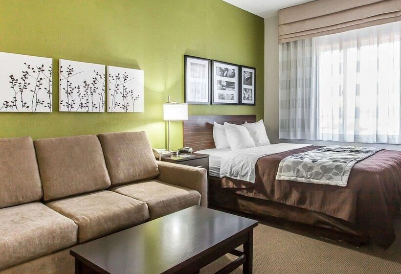 酒店 Sleep Inn & Suites Near I 90 And Ashtabula