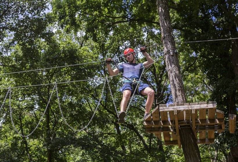 هتل Movenpick Resort And Spa Fruske Terme