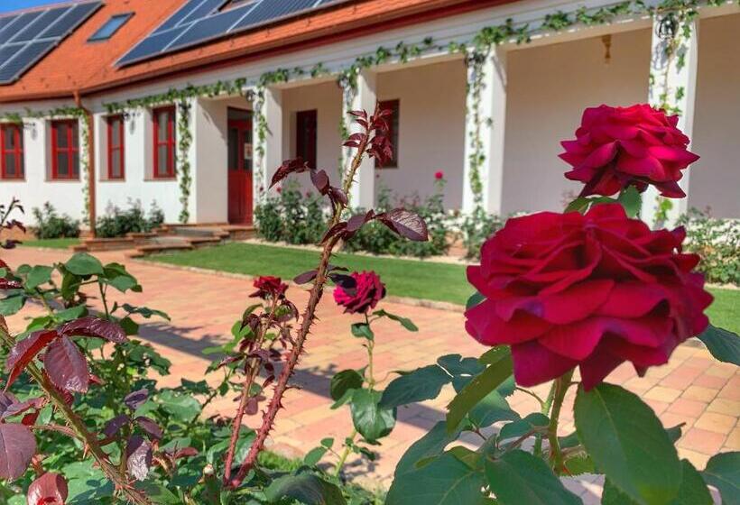 צימר Beck S Borveranda Palkonya