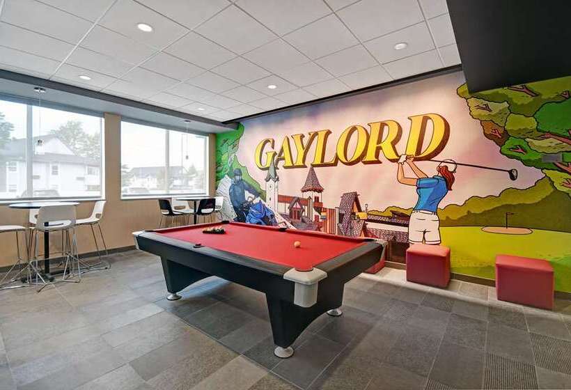 酒店 Tru By Hilton Gaylord, Mi