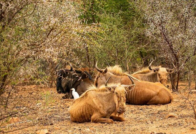 ペンション Hippomoon Lodge Game Reserve
