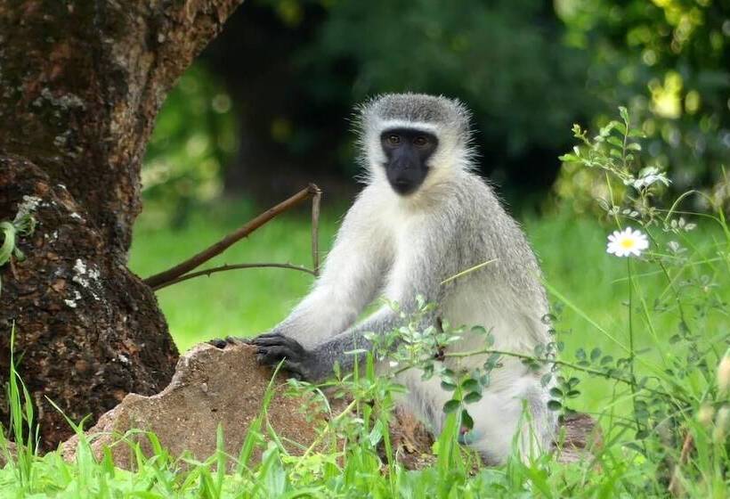 ペンション Hippomoon Lodge Game Reserve