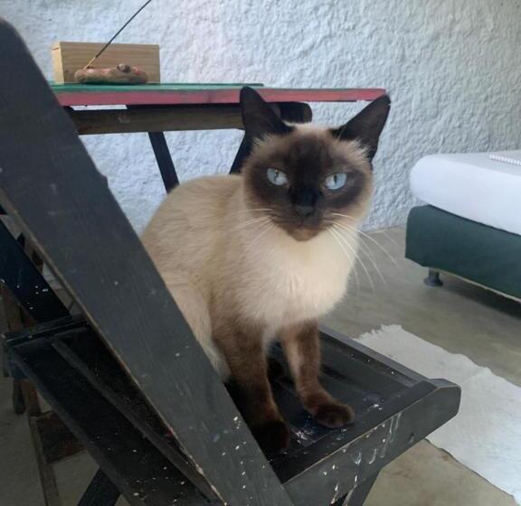 پانسیون Hostel Flor Da Vida