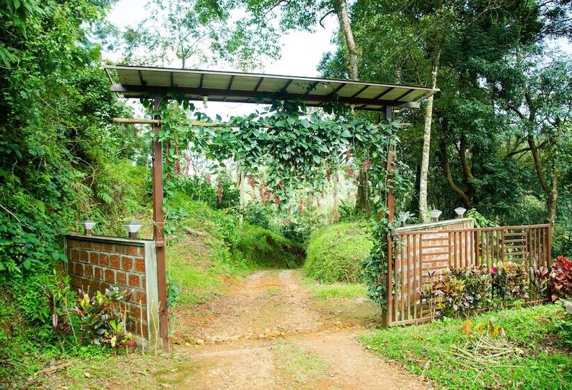بنسيون Room In Cabin   The Nest Bettathur, Coorg Ct 003