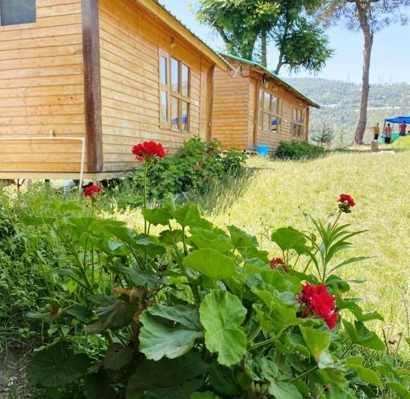 منتجع Golden Valley Cottages, Chail