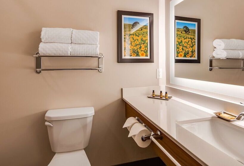 Отель Best Western Plus Jefferson