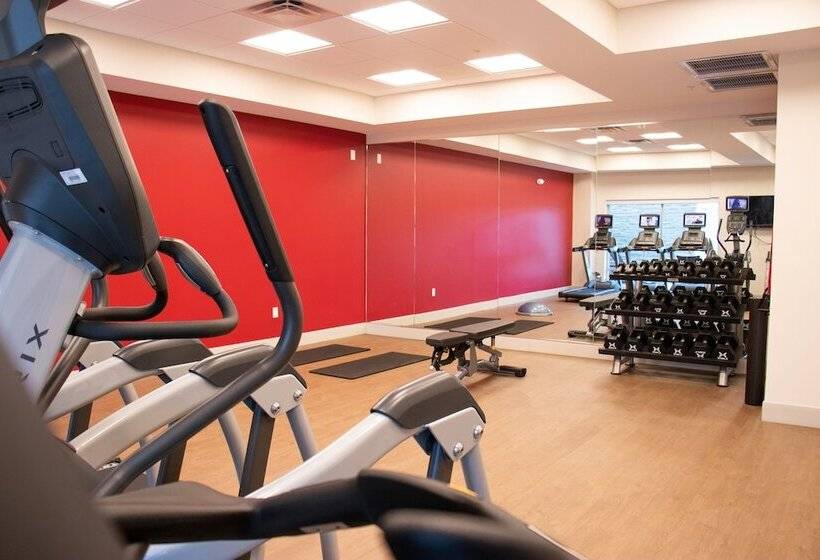 בית מלון כפרי Holiday Inn Express & Suites Tuscaloosa East, An Ihg