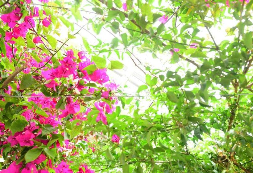 ホテル Jardin D Azur Alaçatı