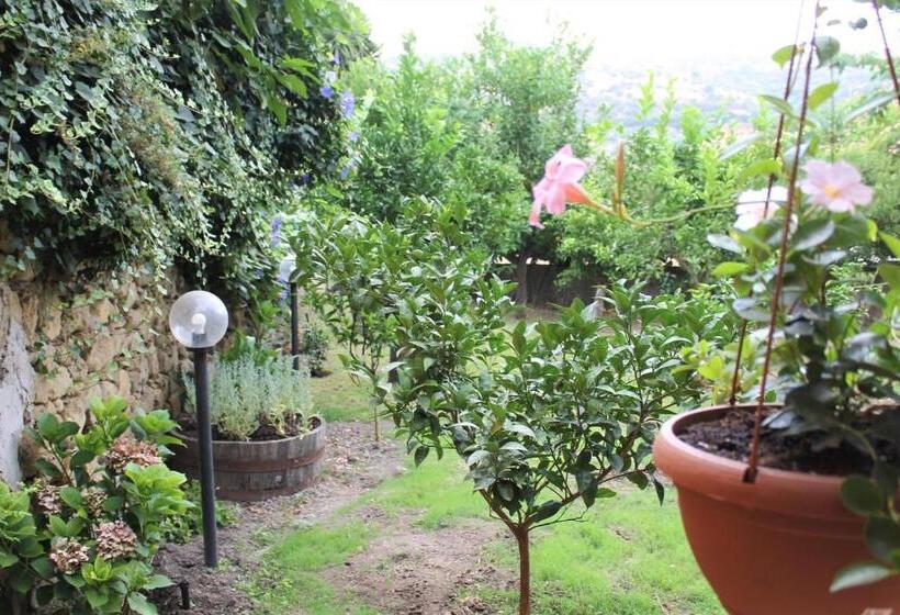민박 Il Giardino Degli Aranci