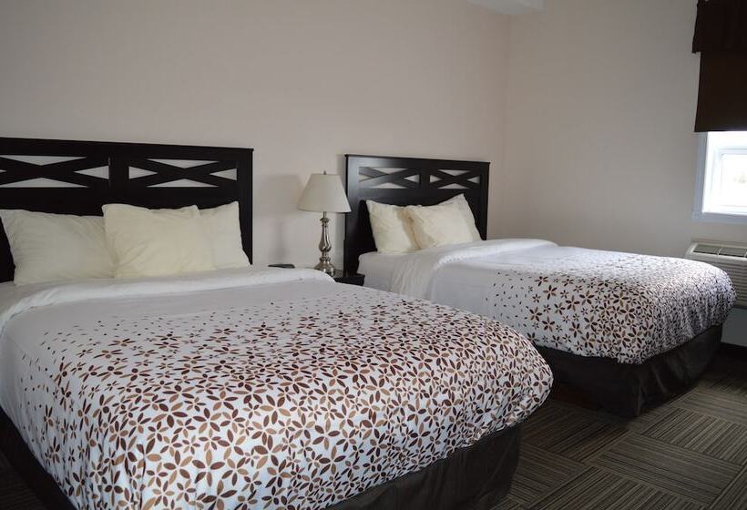 旅馆 Auberge Macdonald Guest Inn