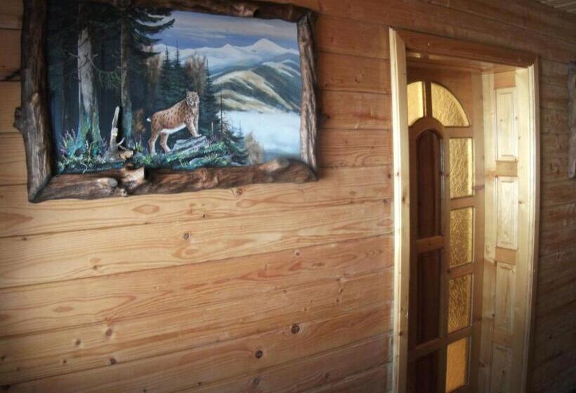 بنسيون Karpatskyi Gomin