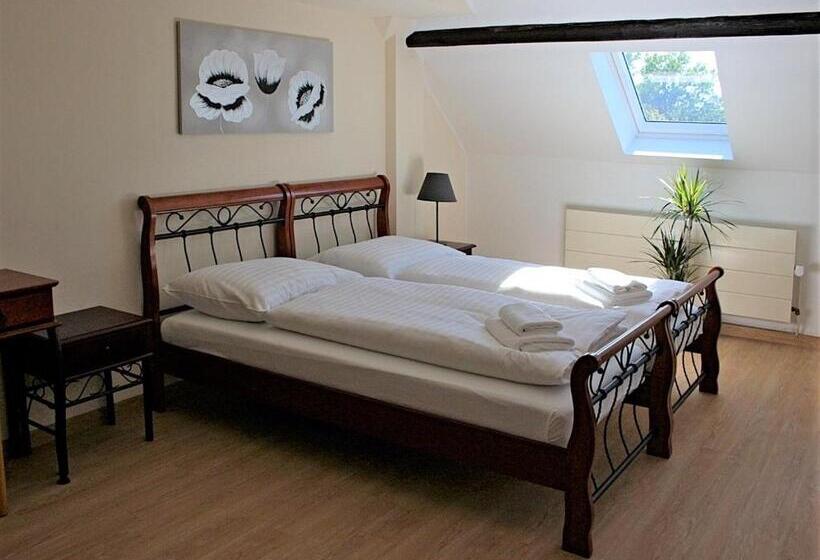 پانسیون Penzion Královské Lázně