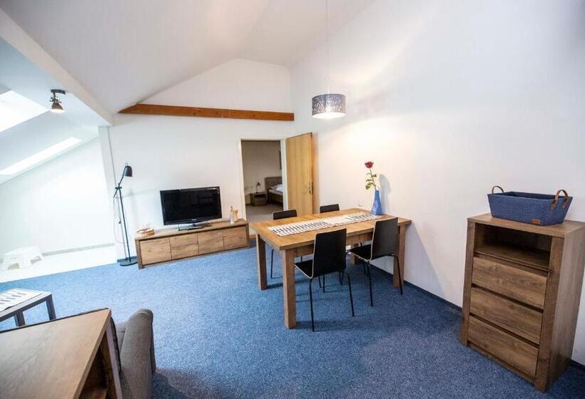 پانسیون Penzion Královské Lázně