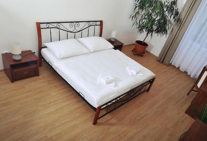 پانسیون Penzion Královské Lázně