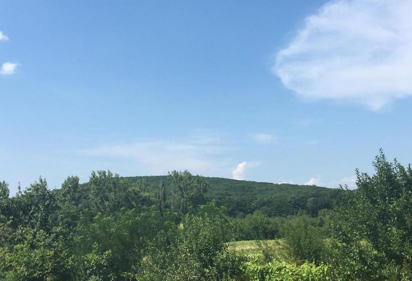 ペンション Polychko Winehouse