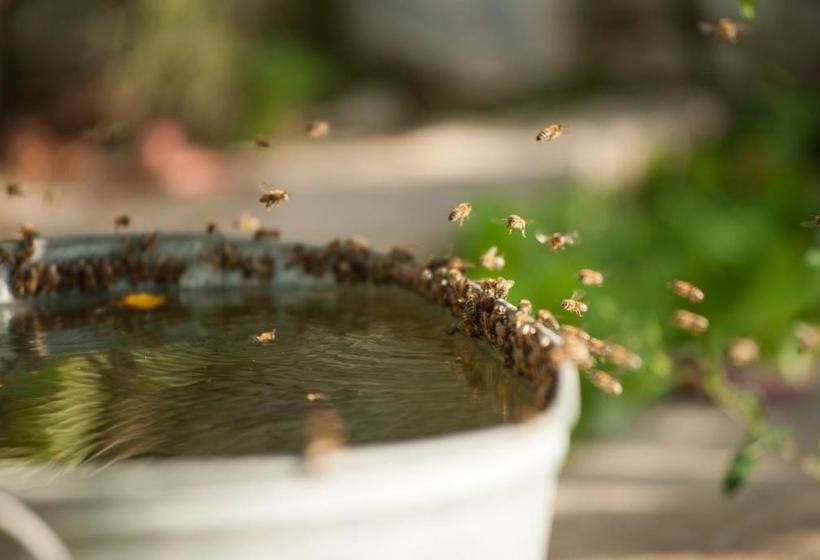 ペンション Polychko Winehouse