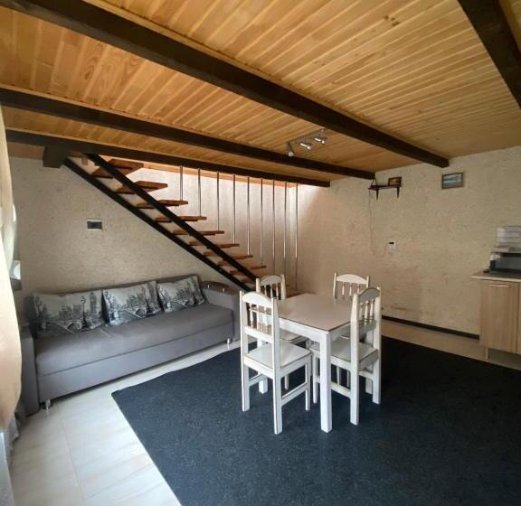 פנסיון Prykarpatska Villa