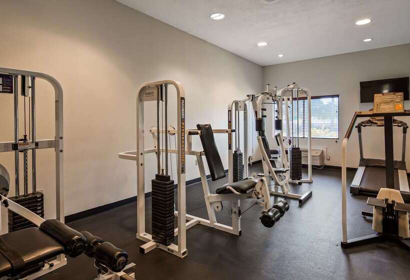 فندق Best Western Mayport Inn & Suites