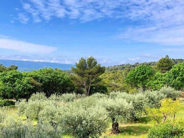 ホテル Le Jas De Joucas Hôtel Restaurant