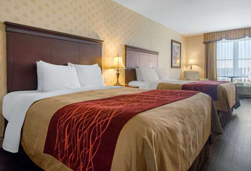 فندق Comfort Inn & Suites