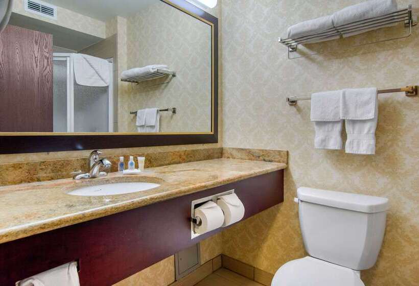 فندق Comfort Inn & Suites