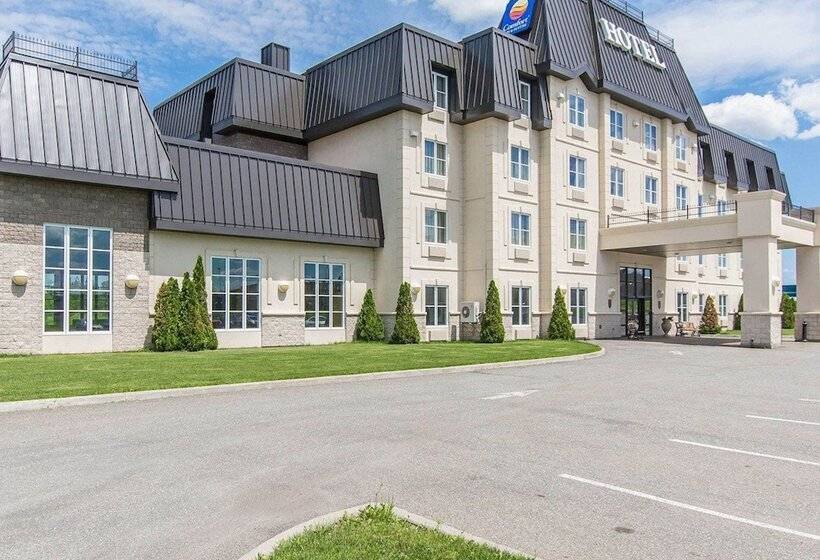 فندق Comfort Inn & Suites