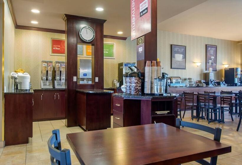 فندق Comfort Inn & Suites