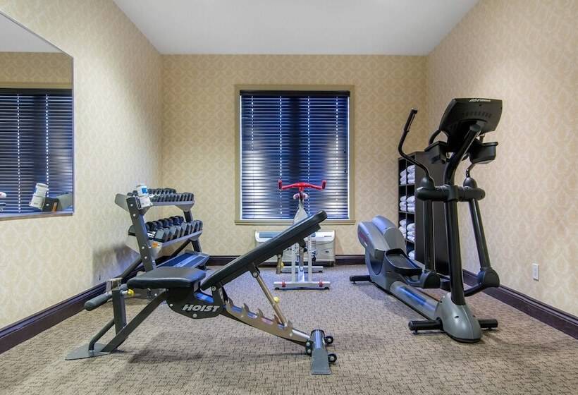 فندق Comfort Inn & Suites