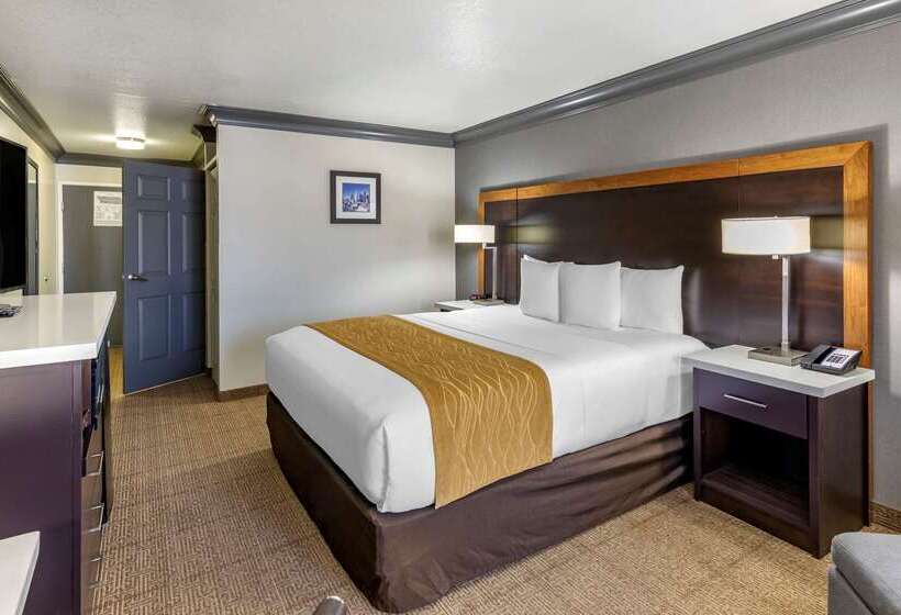 هتل Comfort Inn & Suites Near Universal  N. Hollywood  Burbank
