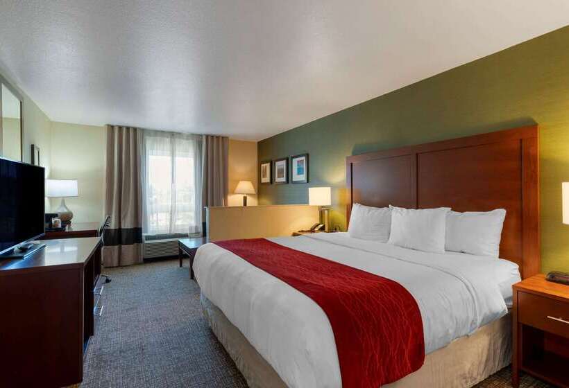 בית מלון כפרי Comfort Inn & Suites Salem