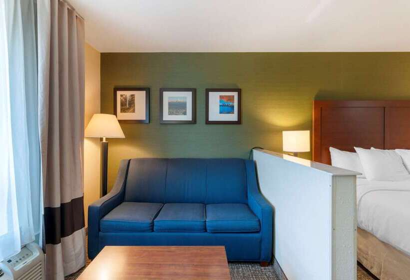 فندق Comfort Inn & Suites Salem